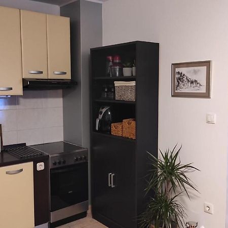 שיבניק Apartman Hidden Gem מראה חיצוני תמונה
